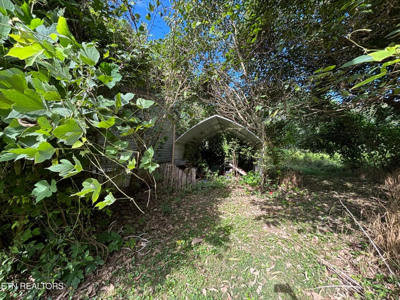 153 Old Kingston Hwy, Rockwood, TN 37854