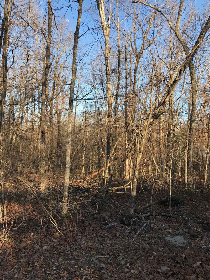 1530 War Eagle Dr, Crossville, TN 38572