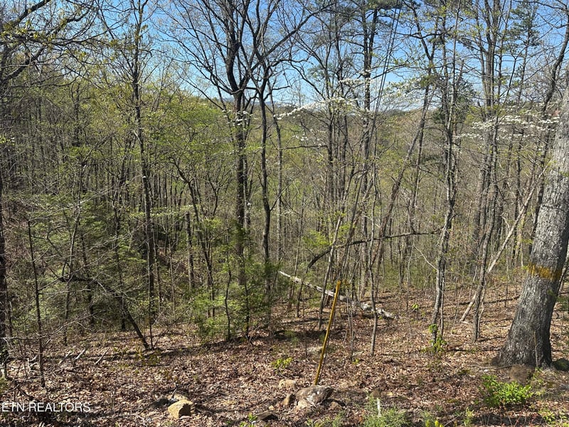 1532 Mountain Dreams Way, Pigeon Forge, TN 37862