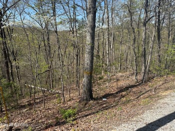 1532 Mountain Dreams Way, Pigeon Forge, TN 37862
