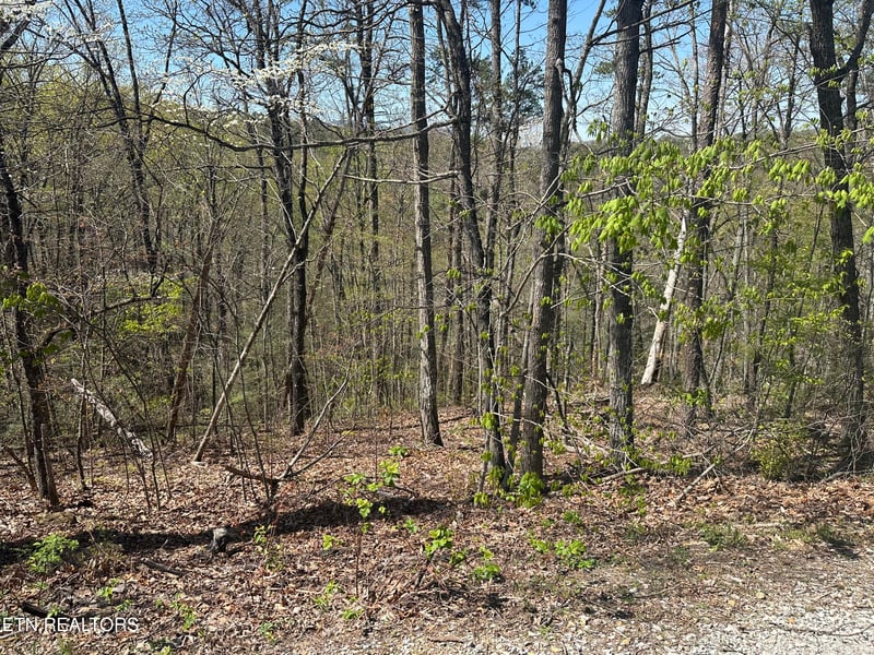 1532 Mountain Dreams Way, Pigeon Forge, TN 37862