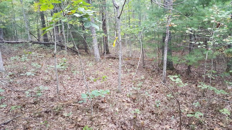 154 Anthony Road Rd, Sunbright, TN 37872