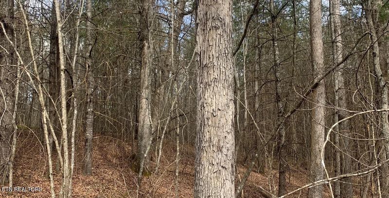154 Coon Creek Rd, Sunbright, TN 37872