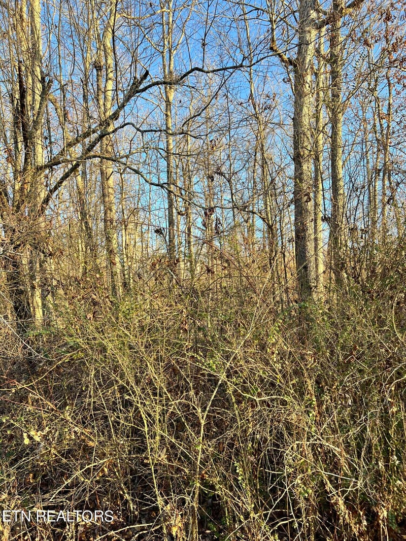 154 Lakeshire Dr, Crossville, TN 38558