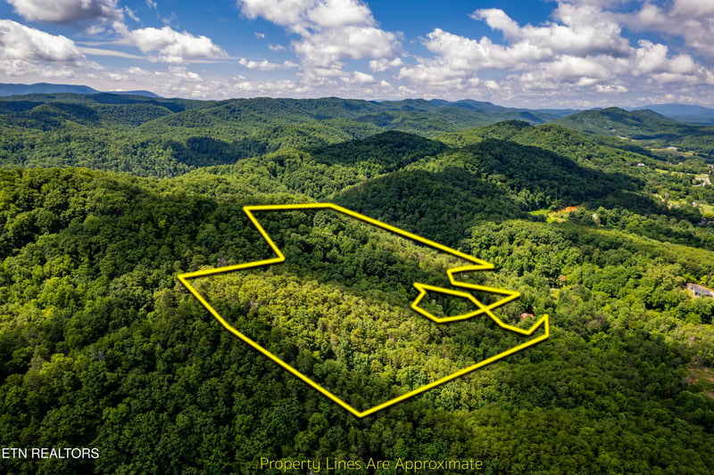 154 Poplar Road Rd, Tellico Plains, TN 37385