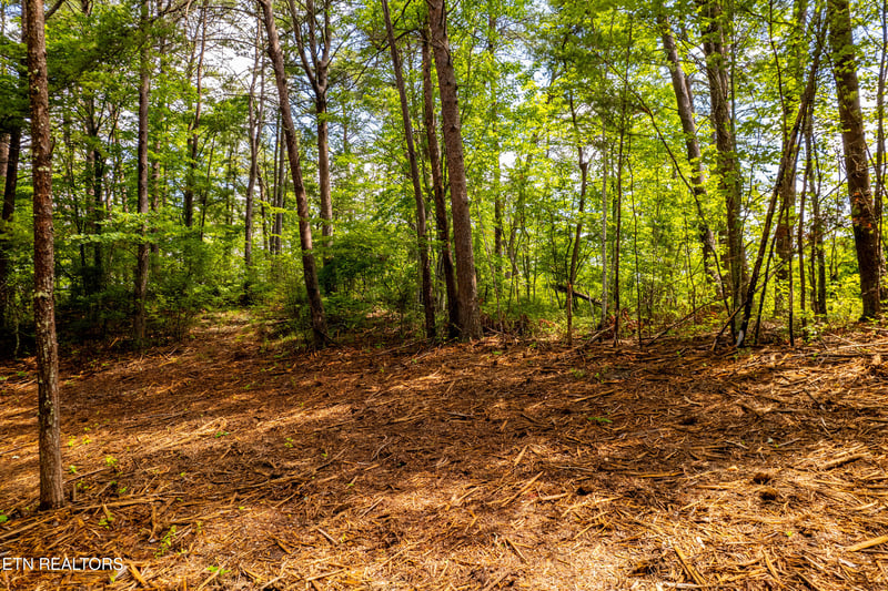 154 Poplar Road Rd, Tellico Plains, TN 37385