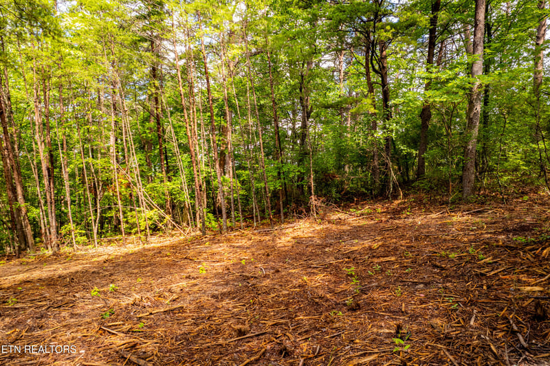 154 Poplar Road Rd, Tellico Plains, TN 37385