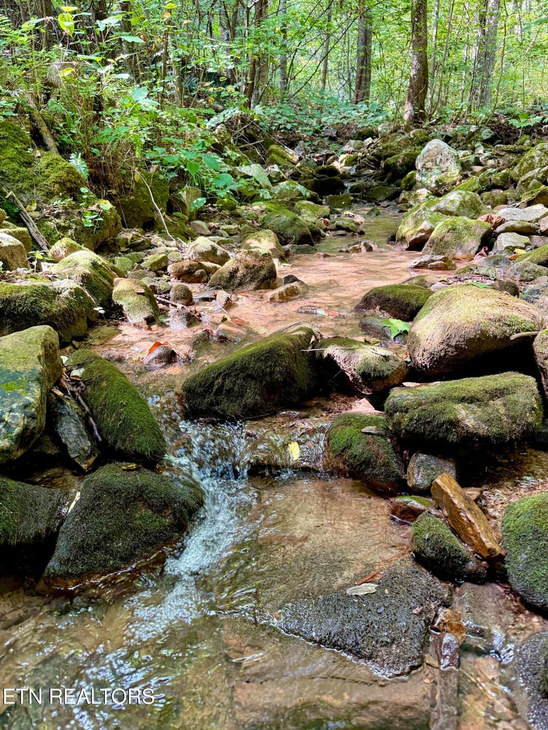 154 Summit Trails Dr, Sevierville, TN 37862