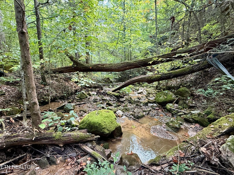 154 Summit Trails Dr, Sevierville, TN 37862