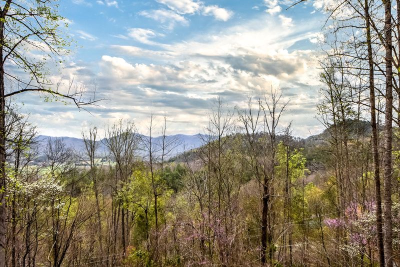 154 Timberwinds Way, Townsend, TN 37882