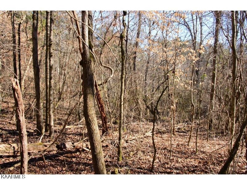 155 Daleyuhski Way, Loudon, TN 37774