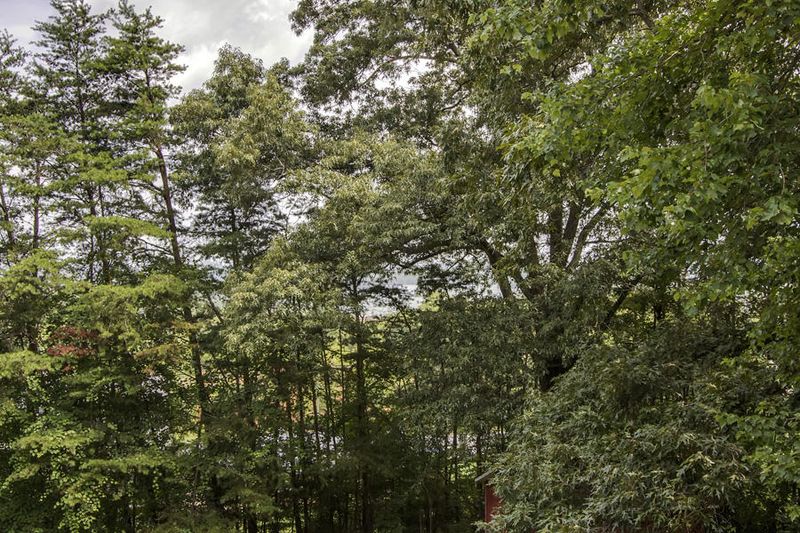 155 Green Hills Dr, Vonore, TN 37885
