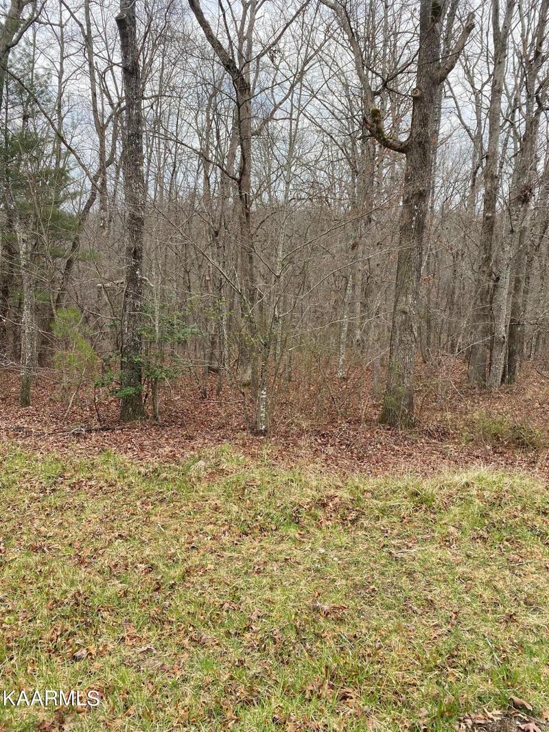 155 Manchester Rd, Fairfield Glade, TN 38558