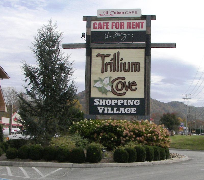 155 Painted Trillium Way, Townsend, TN 37882