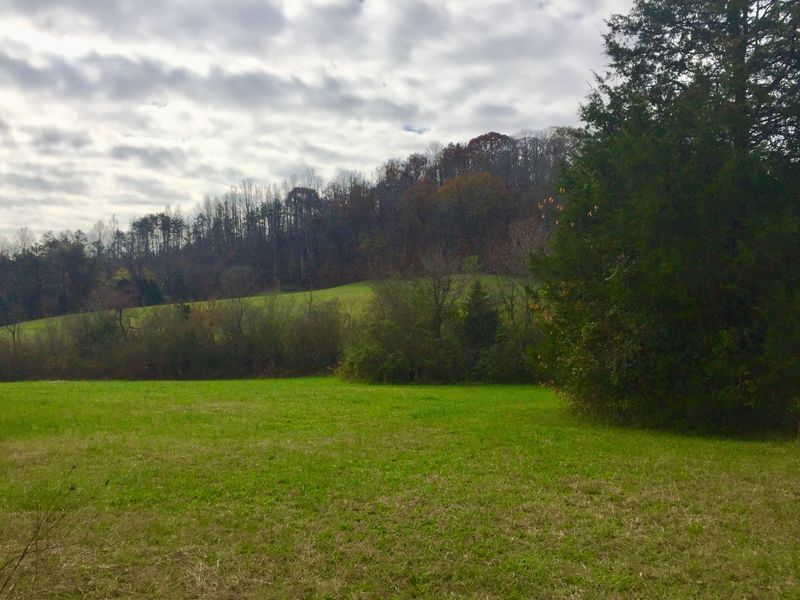 155 Raccoon Valley Tract #2 Rd, Maynardville, TN 37807