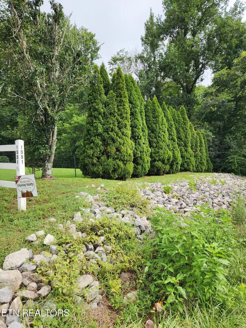 1551 Belltown Rd, Tellico Plains, TN 37385