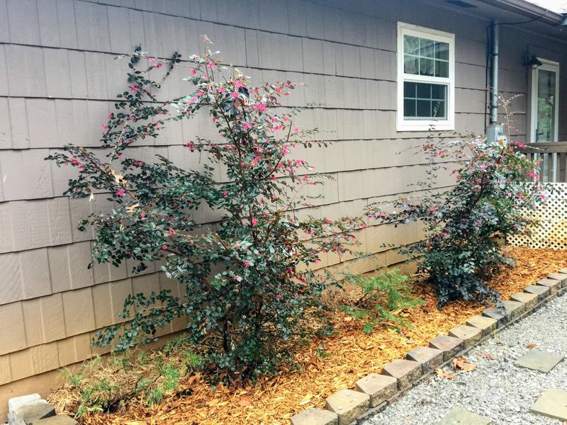 156 Barrier Rd, Loudon, TN 37774