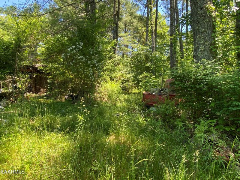 156 Red Wing Ln, Deer Lodge, TN 37726