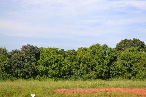 1561 Caleb, Greenback, TN 37742