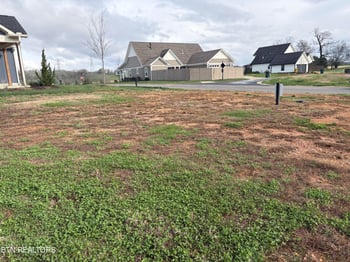 1565 Bobcat Run Dr, Loudon, TN 37774