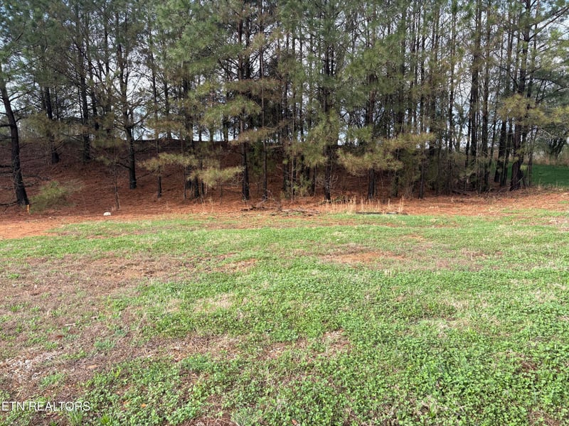 1565 Bobcat Run Dr, Loudon, TN 37774