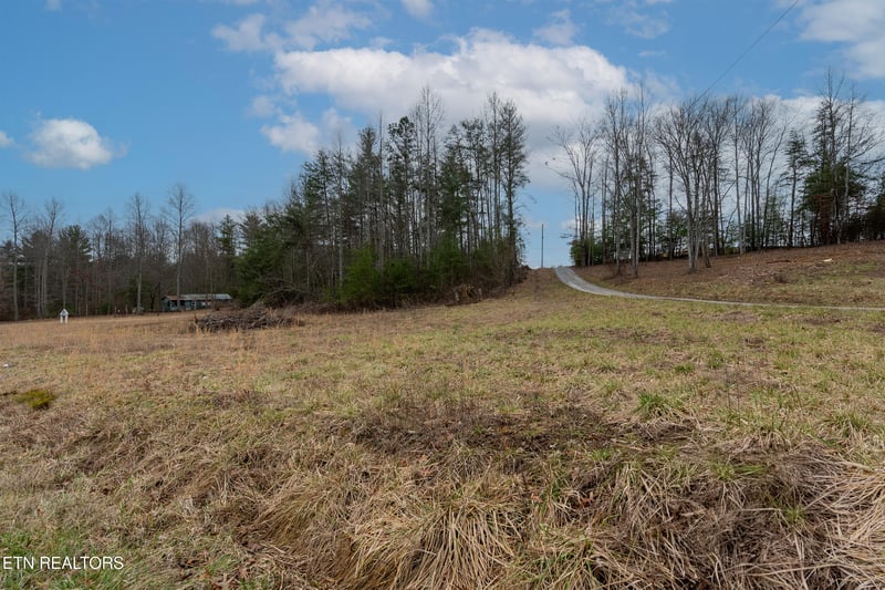 1567 Twin Bridge Rd, Deer Lodge, TN 37726