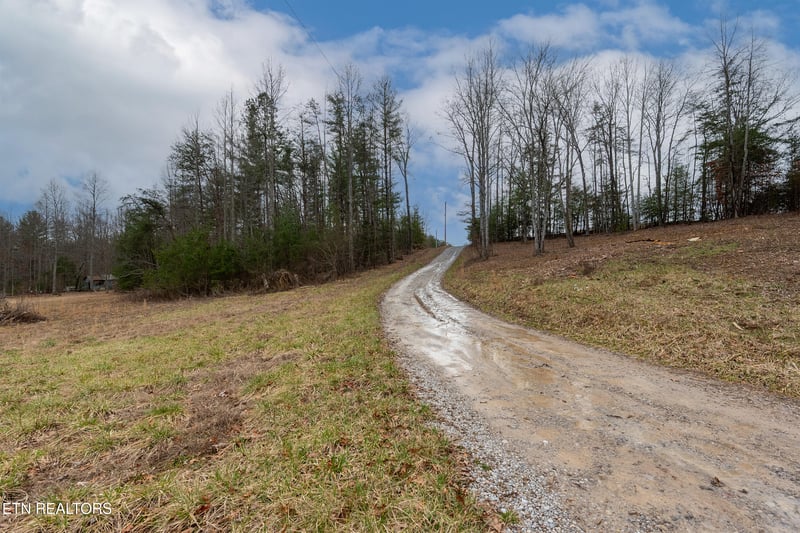 1567 Twin Bridge Rd, Deer Lodge, TN 37726
