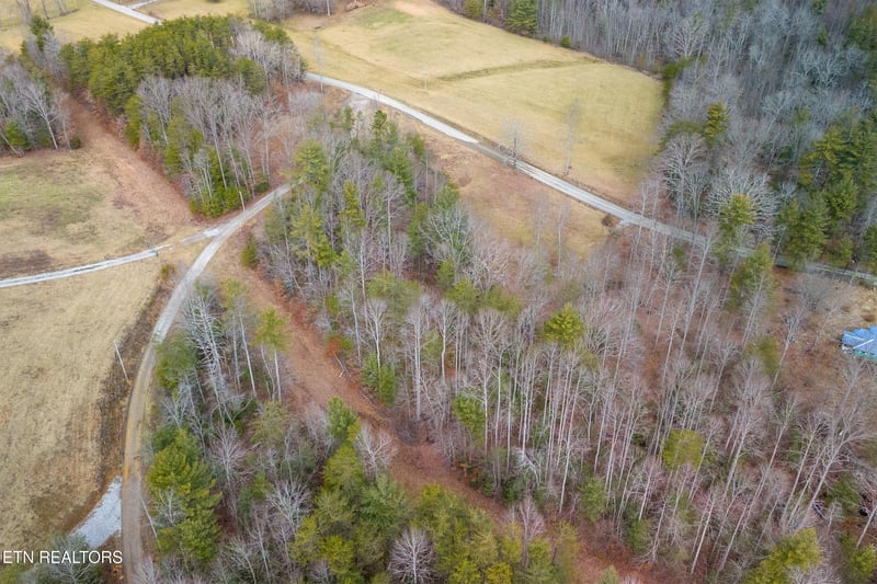 1567 Twin Bridge Rd, Deer Lodge, TN 37726