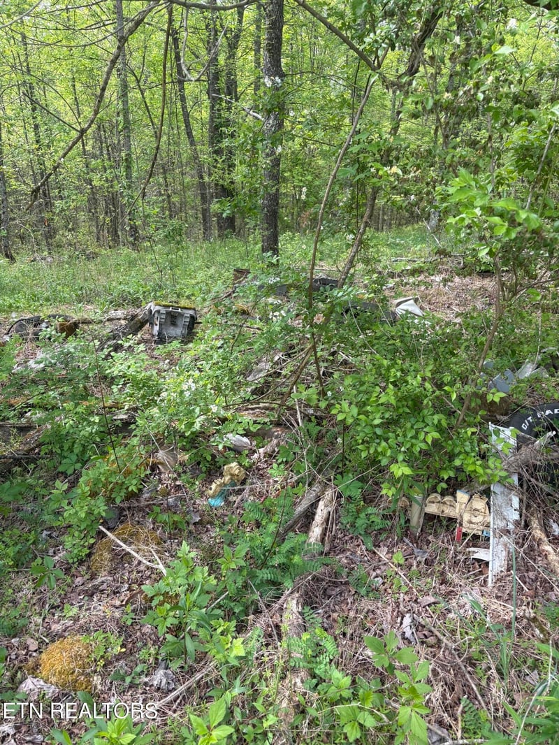 157 Casteel Rd, Sparta, TN 38583