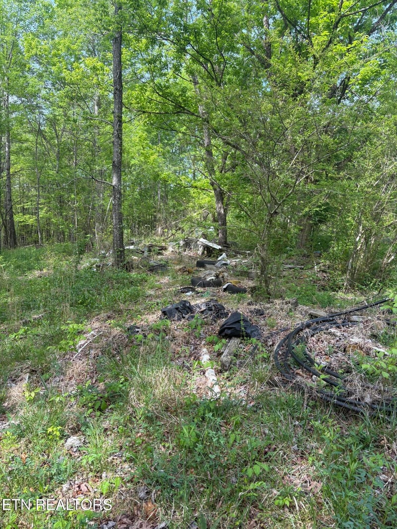 157 Casteel Rd, Sparta, TN 38583