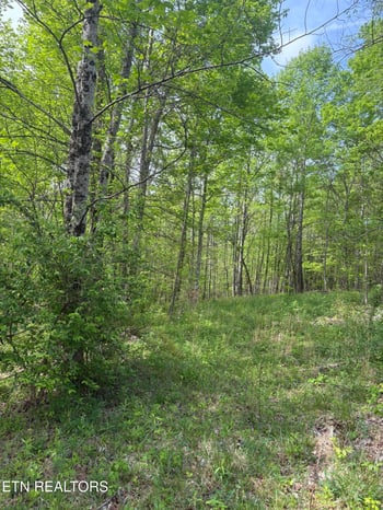 157 Casteel Rd, Sparta, TN 38583