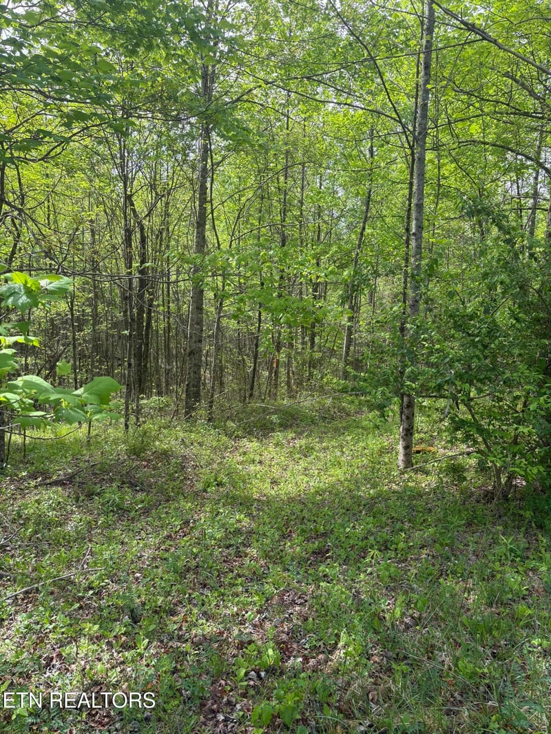 157 Casteel Rd, Sparta, TN 38583