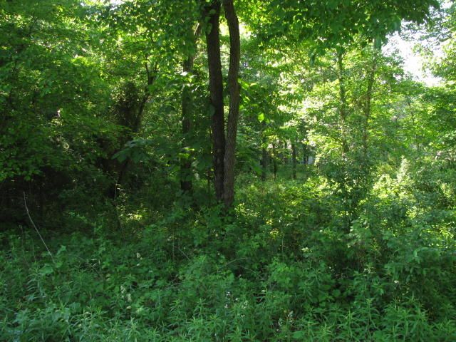 157 Chahyga Way, Loudon, TN 37774