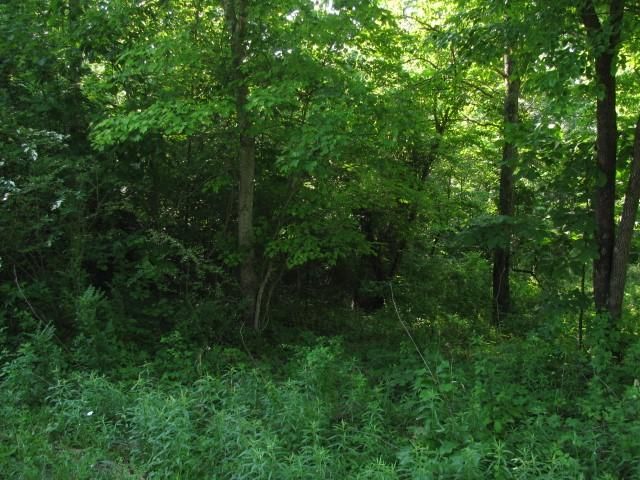 157 Chahyga Way, Loudon, TN 37774