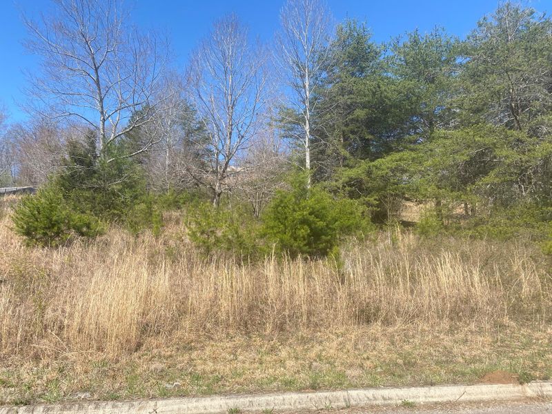 157 Cunningham Blvd, Harriman, TN 37748