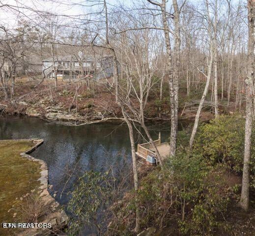 157 Ivy Brook Ln, Crossville, TN 38558