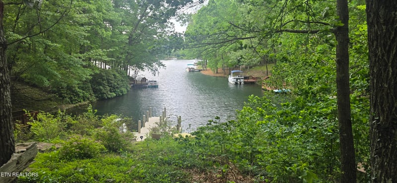 157 Overlook Cv, Crossville, TN 38558