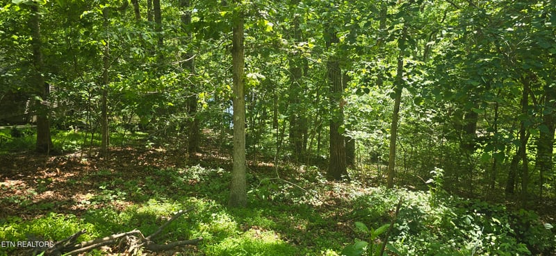 157 Overlook Cv, Crossville, TN 38558