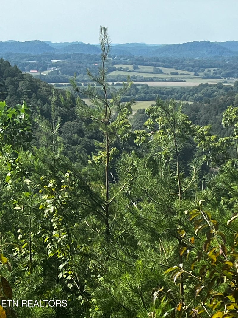 157 Quarry Creek Rd #1-4, Tellico Plains, TN 37385