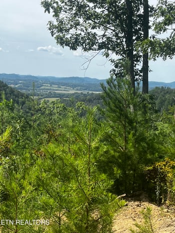157 Quarry Creek Rd #1-4, Tellico Plains, TN 37385