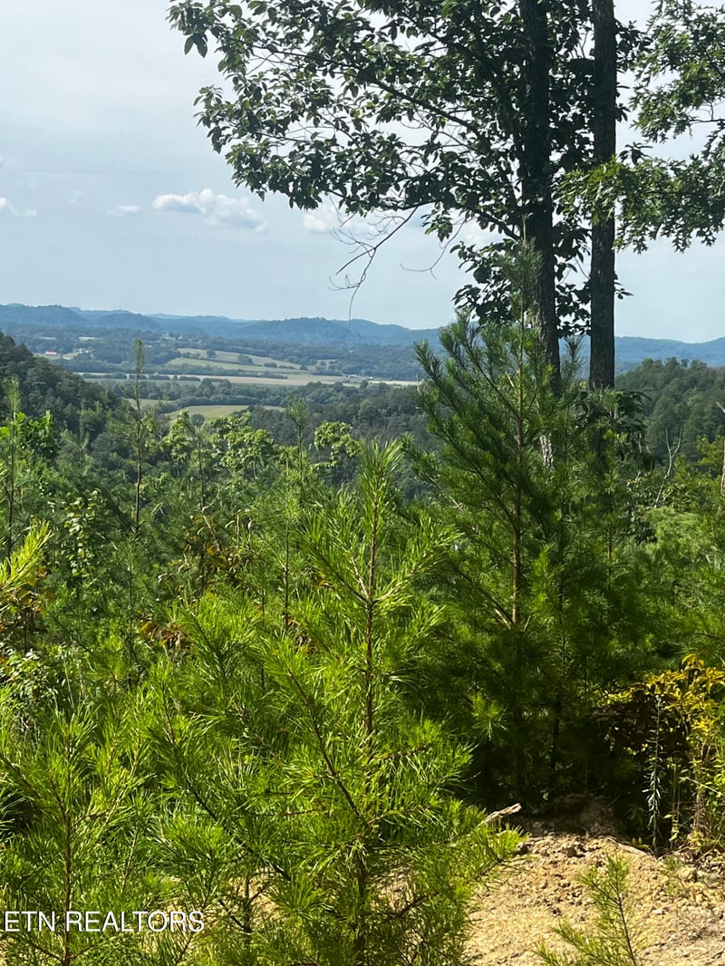 157 Quarry Creek Rd #1-4, Tellico Plains, TN 37385