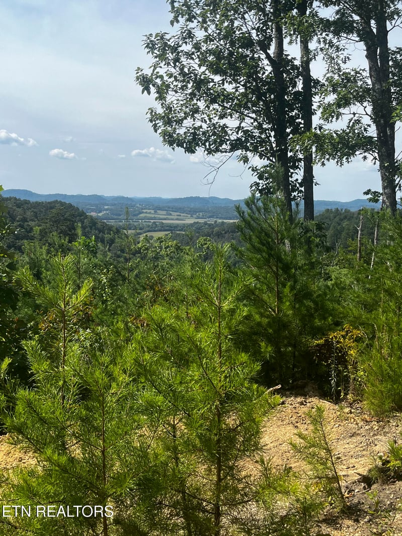 157 Quarry Creek Rd #1-4, Tellico Plains, TN 37385