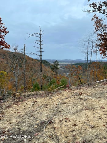 157 Quarry Creek Rd Lot 6, Tellico Plains, TN 37385