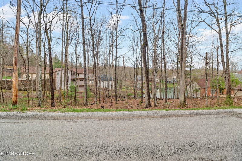 158 - 160 Lynhurst Dr, Fairfield Glade, TN 38558