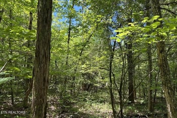 158 Eagle Ridge Rd, Kingston, TN 37763