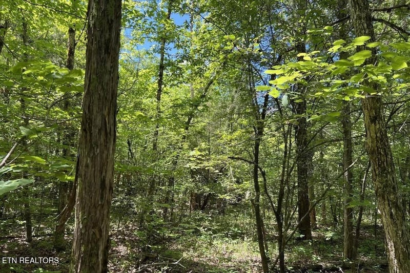 158 Eagle Ridge Rd, Kingston, TN 37763