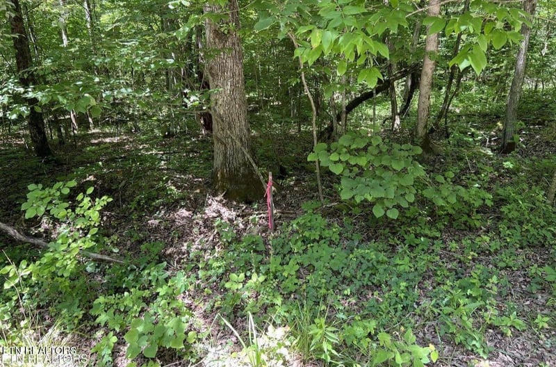 158 Eagle Ridge Rd, Kingston, TN 37763