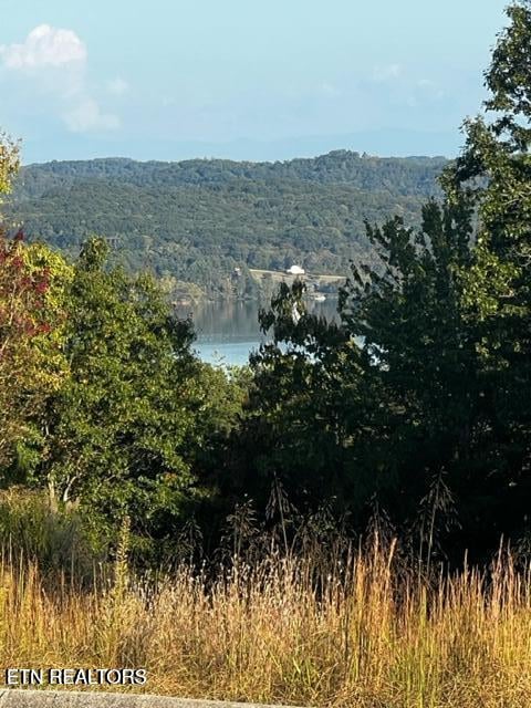 158 Highland Reserve Way, Kingston, TN 37763