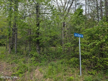 158 Jess Ridge Rd, Lancing, TN 37770