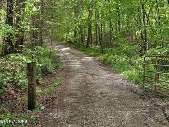 158 Jess Ridge Rd, Lancing, TN 37770